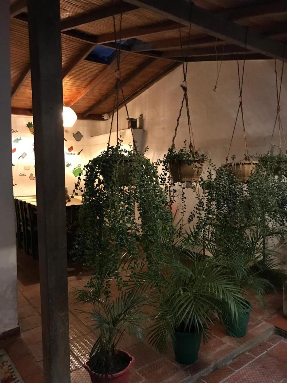 The Best Adventure Hostel 圣希尔 外观 照片