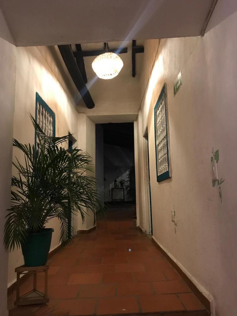 The Best Adventure Hostel 圣希尔 外观 照片